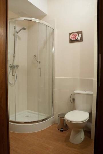 Фото номера Двухместный номер эконом-класса с 1 кроватью Отель Hotel Dwór Galicja г. Сталёва-Воля 6